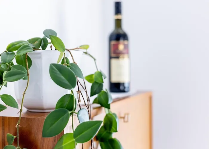 Homely ベッド・アンド・ブレックファスト